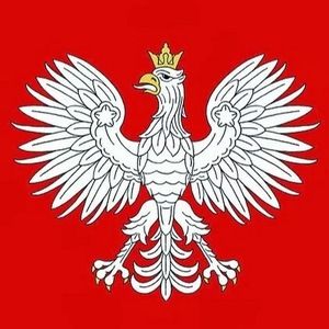 Meet your Posher, Przemek